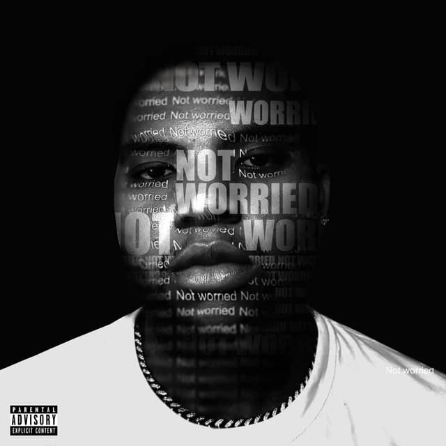 Not Worried cover art